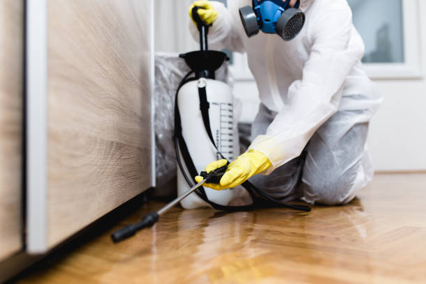 Best Rat Extermination Near Me  in Durand, IL