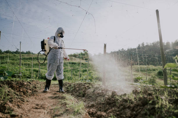 Best Best Pest Control Companies  in Durand, IL
