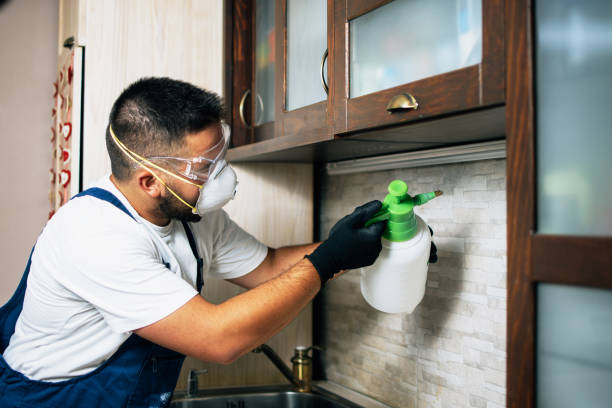 Best Commercial Pest Control Services  in Durand, IL