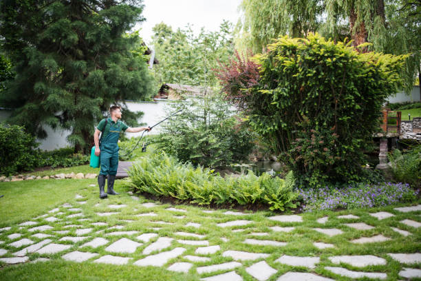 Best Insect Control  in Durand, IL