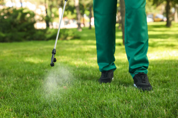 Reliable Durand, IL Pest Control Solutions