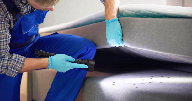 Best Pest Prevention Services  in Durand, IL