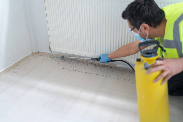Best Pest Removal Services  in Durand, IL