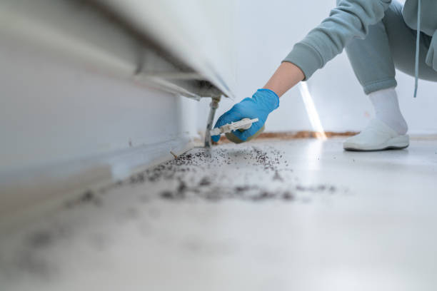 Best Exterminator Services  in Durand, IL